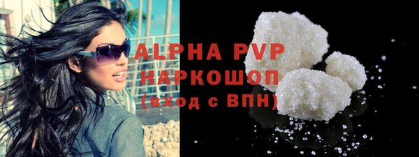 индика Краснотурьинск