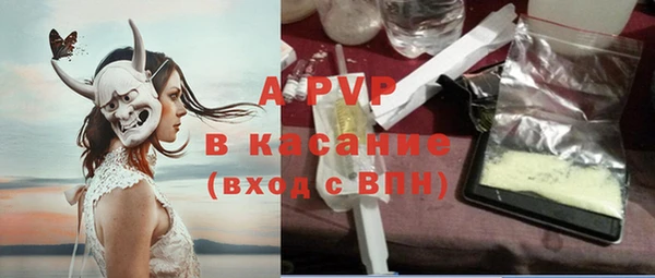 индика Краснотурьинск