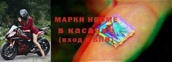 индика Краснотурьинск