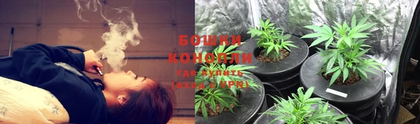 крисы Краснослободск