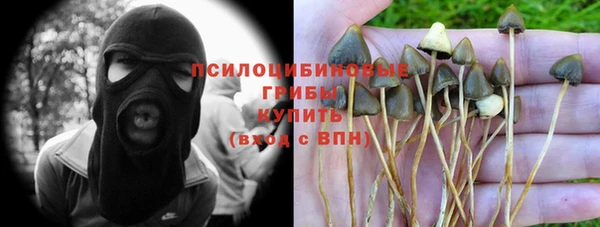 индика Краснотурьинск