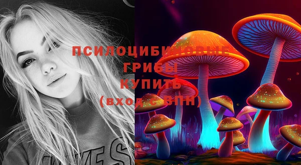 крисы Краснослободск