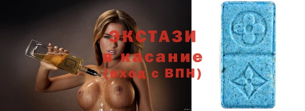 индика Краснотурьинск
