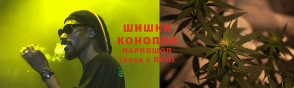 индика Краснотурьинск