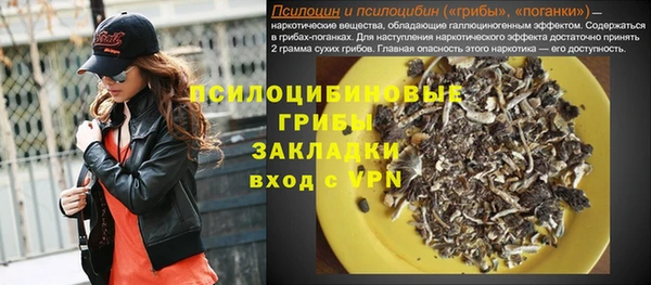 индика Краснотурьинск