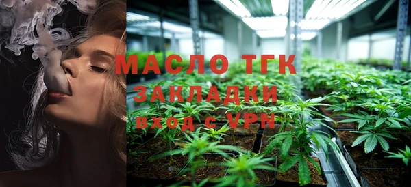 индика Краснотурьинск