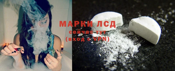 индика Краснотурьинск