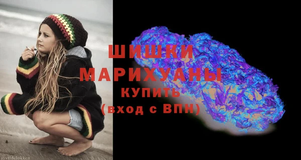 крисы Краснослободск