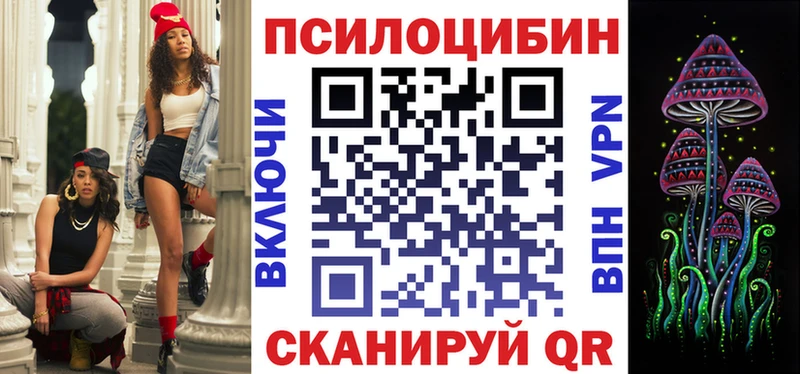 Купить где  Алзамай  Псилоцибиновые грибы GOLDEN TEACHER 